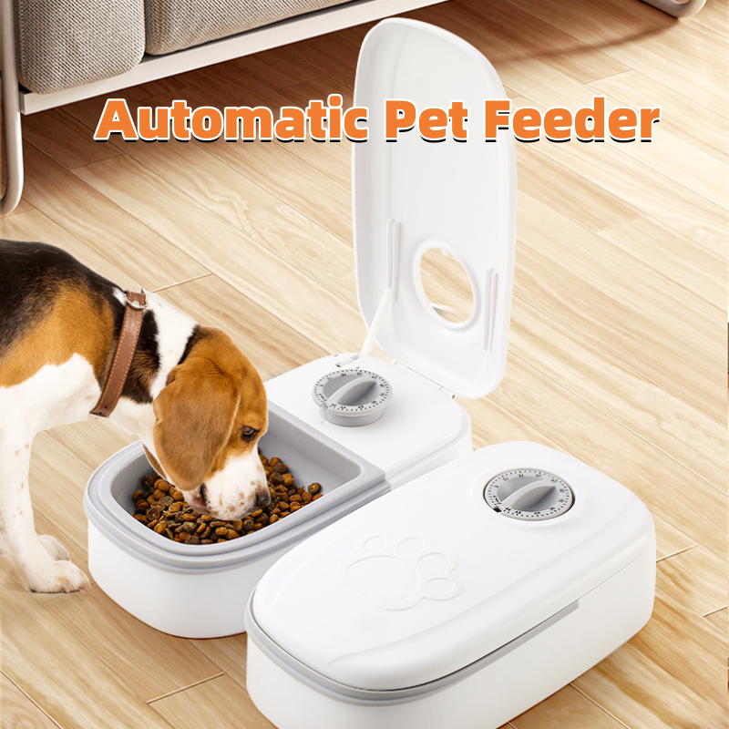 Automatic pet feeder with timer display and stainless steel bowl dispensing dry food in a kitchen corner